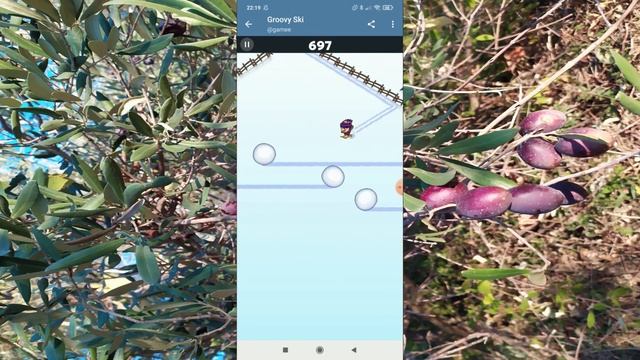 #groovy #ski #videogames #telegram #internet #mindset смотреть онлайн