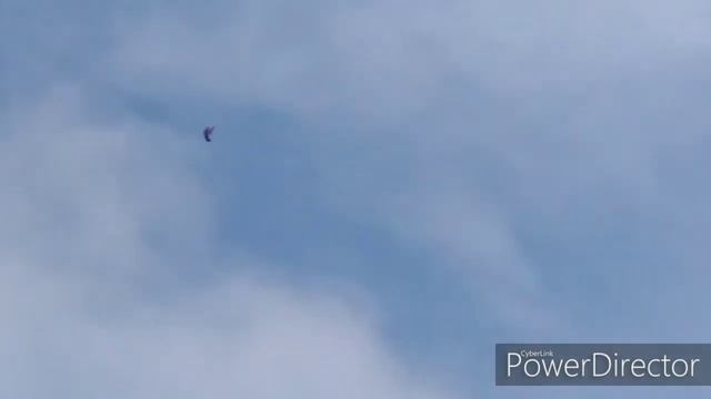 Краснодарский красный бойные голубь..?? смотреть онлайн