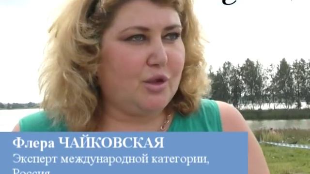 РЕГИОНАЛЬНАЯ ВЫСТАВКА СОБАК ПРОШЛА В СМОЛЕВИЧАХ смотреть онлайн