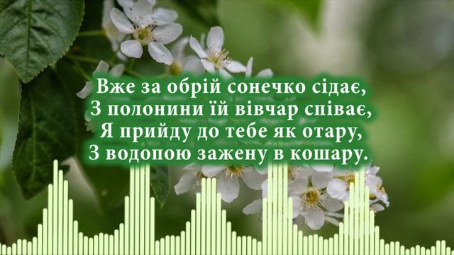 Черемшина-Марина і компанія смотреть онлайн