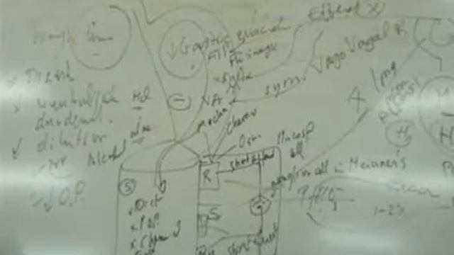 Dr/Akef - ( 26 march - GIT - control of gastrin and bile secretion ) смотреть онлайн