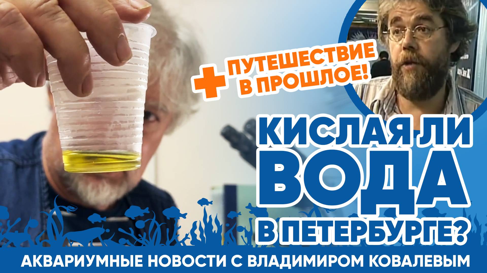 Аквариумные новости с Владимиром Ковалёвым (16.08.24). Кислая ли вода в Петербурге? смотреть онлайн
