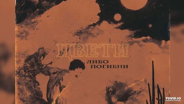 T-Fest-В порядке