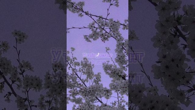 Пой эту песню если ты...(3 часть) смотреть онлайн