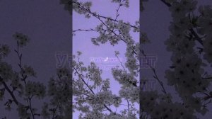 Пой эту песню если ты...(3 часть)