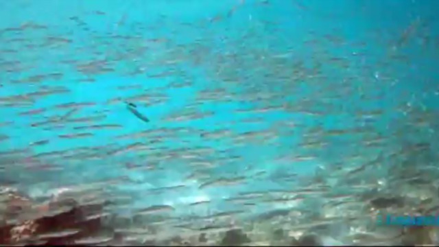 Египет, Хургада 2011