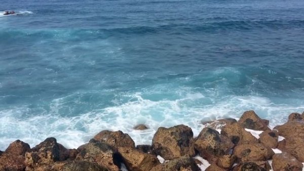 Евгений Дога и Раймонд Паулс. Мой Ласковый и Нежный Зверь, Долгая Дорога В Дюнах и другие.