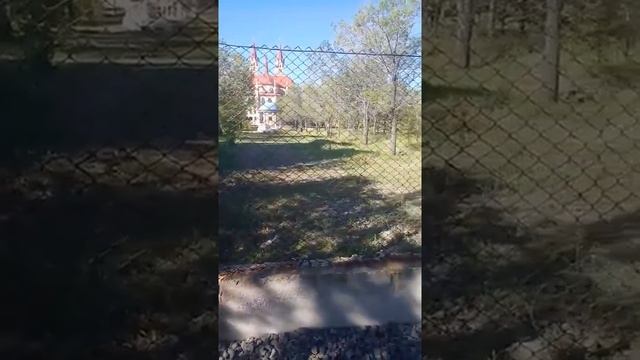 Карагандинцев заинтересовал огороженный участок земли близ католического собора смотреть онлайн