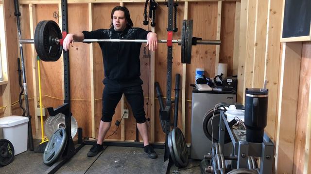 365 x 12 reps SQUAT PR!!! Day 190 BULKING, natural bodybuilding squats and calves, home gym смотреть онлайн
