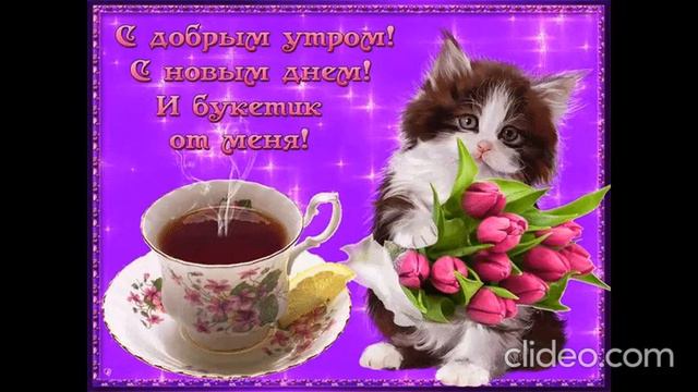 Доброе утро 💫 Отличного настроения на весь день 💗💗💗 смотреть онлайн