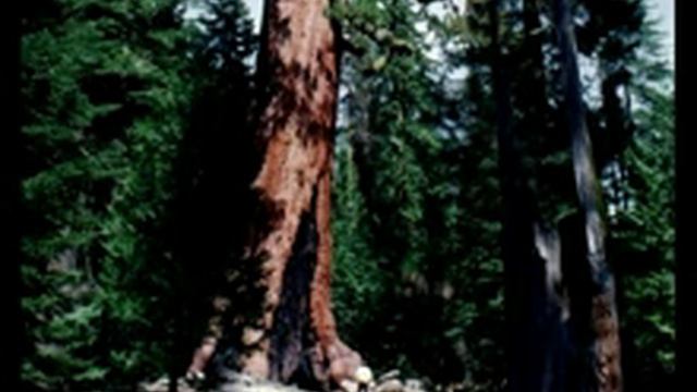 поет TOLKACHEV V12 русская народная песня AH TI DUSHECHKA смотреть онлайн