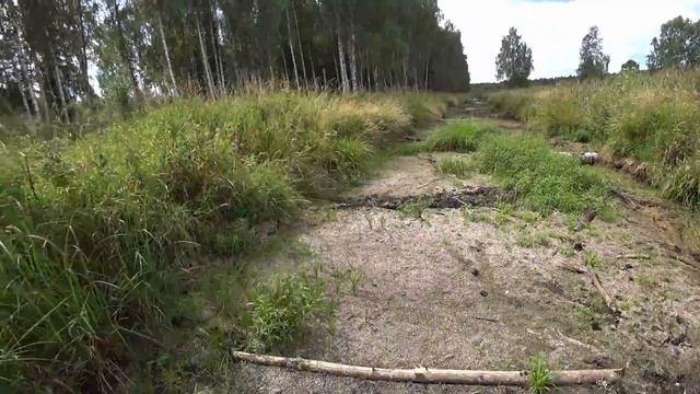 НЕ СМОГЛИ ЗАБРАТЬ ВЕСЬ МЕТАЛЛ. ИНТЕРЕСНАЯ НАХОДКА. ТОРФЯНИК. КОП МЕТАЛЛОЛОМА. смотреть онлайн