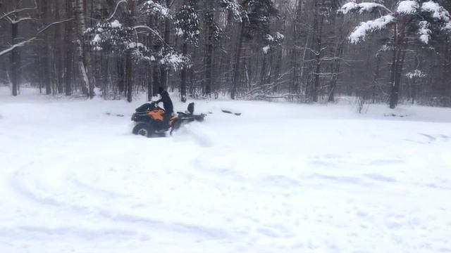 BRP 1000 max xt-p смотреть онлайн