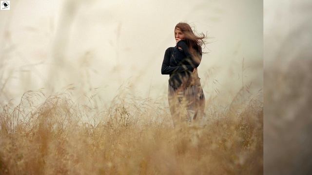 В этой комнате смотреть онлайн