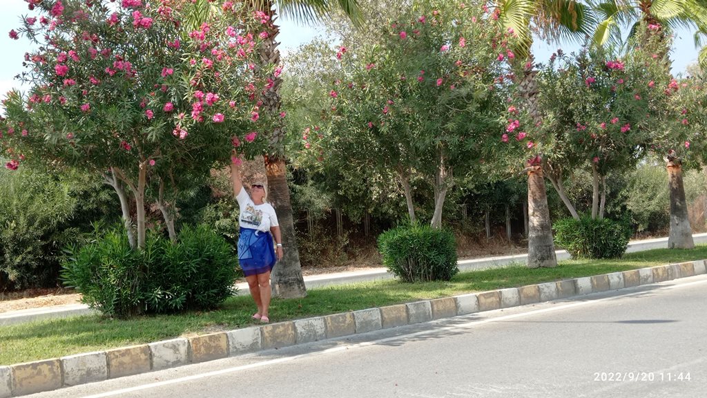 Дорога до пляжа от отеля Papaya Side 3*** пешком