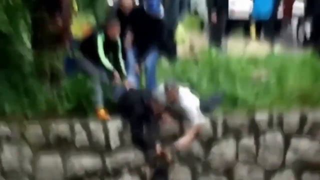 Удивительное спасение Животных, трогательная история 1 смотреть онлайн
