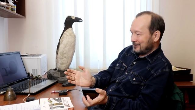 Музейные химеры, две с половиной бескрылых гагарки и реликвии египетской пирамиды. Игорь Фадеев. смотреть онлайн