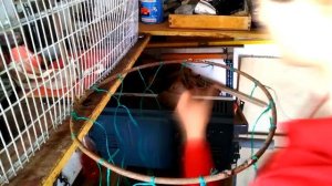 Как Сделать Баскетбольное Кольцо DIY