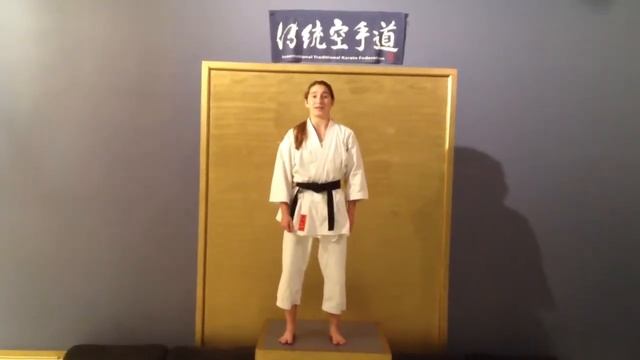 Universal Traditional Karate - Gi Fixing Intro смотреть онлайн
