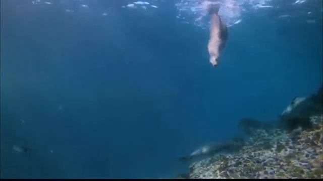 Имена Аллаха - Аль-´АЛИ ( Высокий, Всевышний, Высокочтимый) смотреть онлайн