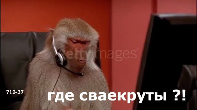 Бабуин сваекрут смотреть онлайн