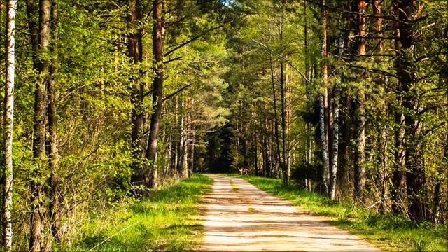 Мискевич В М 65 Поздравление с ЮБИЛЕЕМ смотреть онлайн