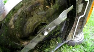 Нужна ли самоходная электрическая газонокосилки. Опыт использования