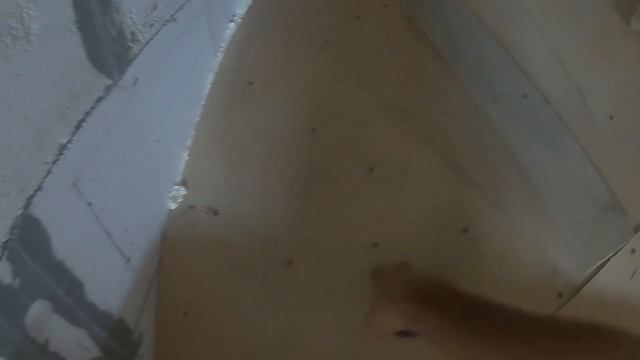 Полувинтовая бетонная лестница СВОИМИ РУКАМИ смотреть онлайн