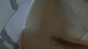 Полувинтовая бетонная лестница СВОИМИ РУКАМИ