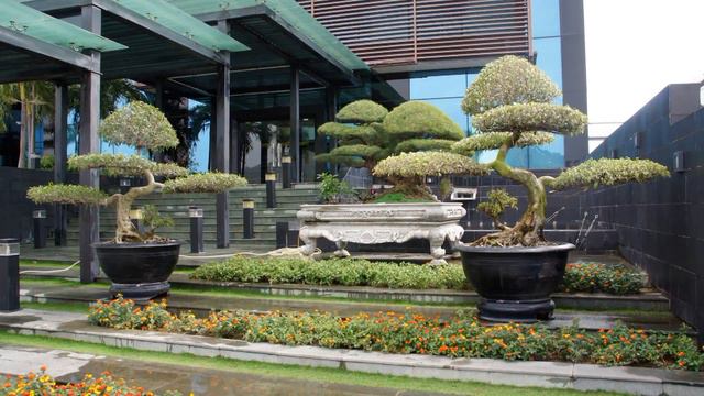 Вьетнам Халонг отель Ройал Лотус часть 3 утром фото смотреть онлайн