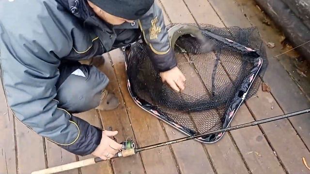 поимка на донку смотреть онлайн