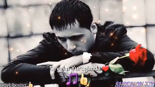 SEVGIM YURAGIMDA MUZIKA 2020