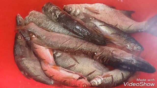 ВЛОГ 0зеро Окуньки /пляж,солнце,отдых, рыбалка, шашлык, купаемся /(2 часть ) смотреть онлайн