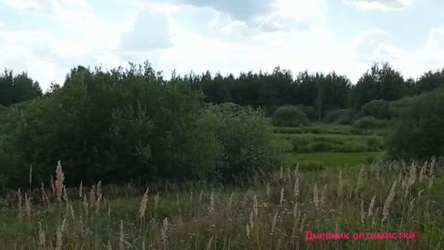 ВЕТЛУГА ЛЕТО МОЙ ДНЕВНИК  #ВЕТЛУГА #ДневникоптимисткиЛюдмила