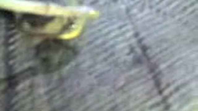Васюган Тварь Доисторическая смотреть онлайн