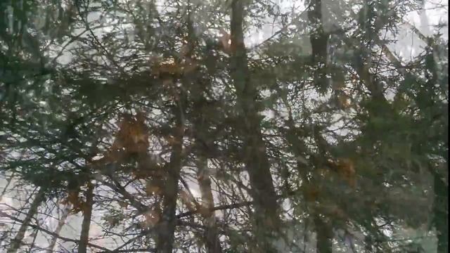 Аддон к гайду по активации 60 FPS в камере на Nexus 5X