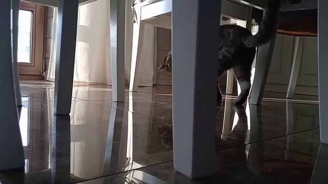 Вкусные истории