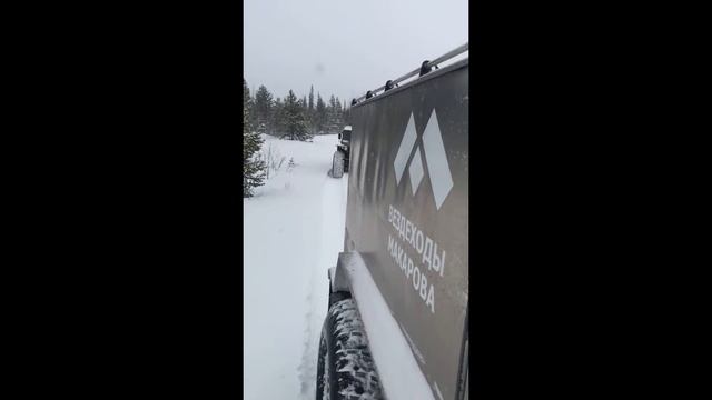 неудачная прогулка смотреть онлайн