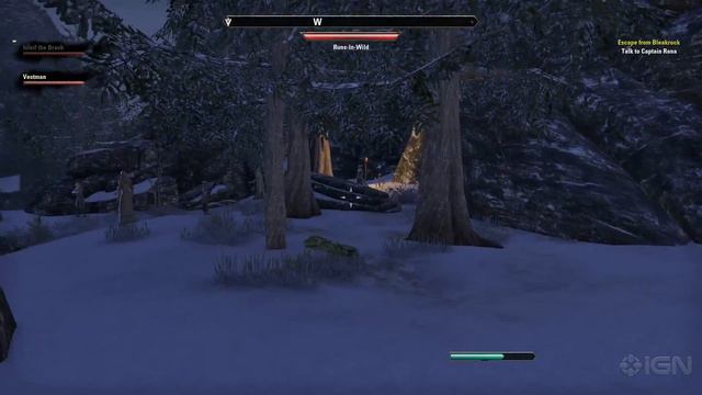 The Elder Scrolls Online - Top 5 Tips for New Players смотреть онлайн