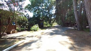 Абхазия 2020. Пицунда. Отдых в Абхазии. Питание. Номера. Пансионат Сосновая роща. Обзор.  2 серия