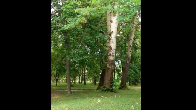 Прогулки с женой Сумы, парк у Н-Троицкого собора смотреть онлайн