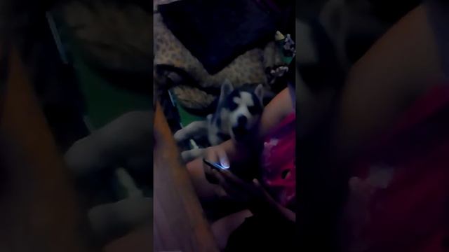 VID 20160222 004504 смотреть онлайн