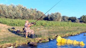 Отменный клёв на фидер на Бузане / КЛЕВ БУДЕТ!