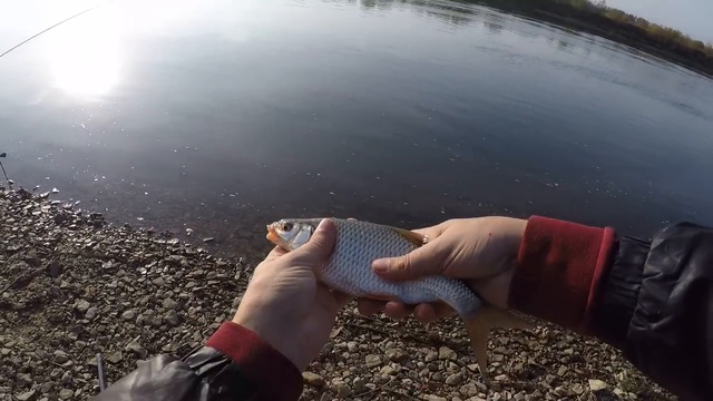 Рыбалка на Оке с эхолотом практик 7 Wi-fi 