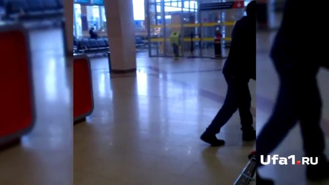 Вьетнамцы вывозят собак на забой? смотреть онлайн