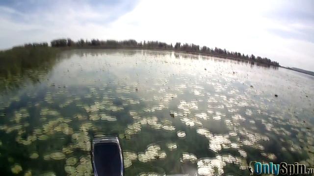 Ловля щуки в зарослях травы Воблеры и колеблющиеся блесна смотреть онлайн