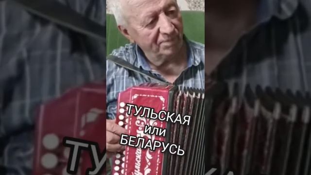 Гармонь Тульская или Беларусь#shorts смотреть онлайн