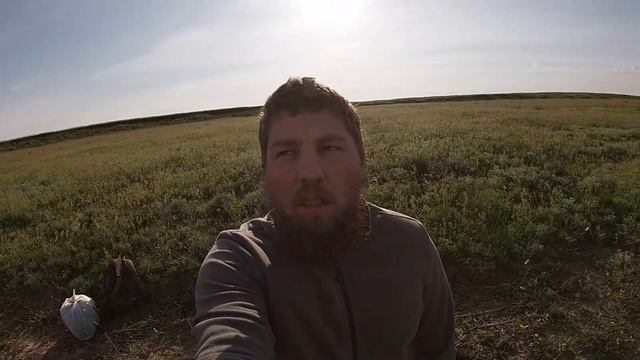 Дикие кадры. Фотоохота на реке. Щурки, краснокнижные пеликаны смотреть онлайн