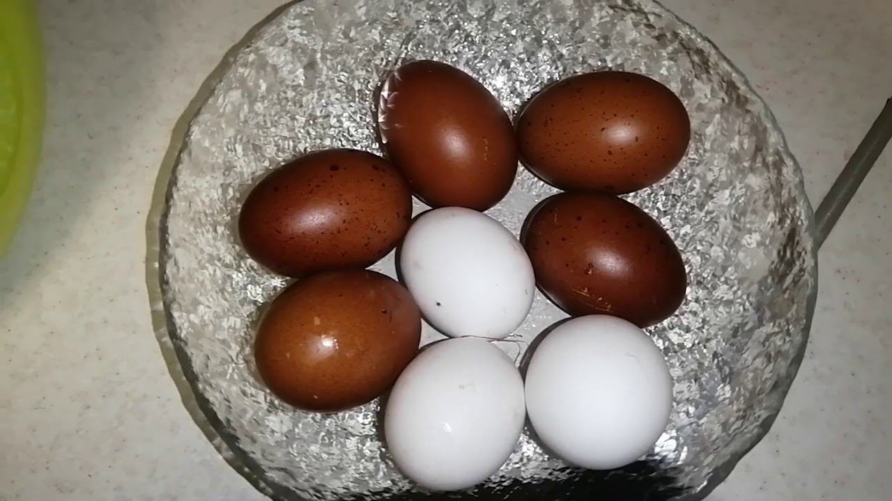 Елена Коптева