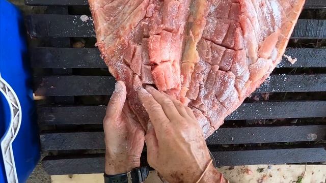 Астрахань 2022. Как вялить крупную рыбу в жару без полога. смотреть онлайн